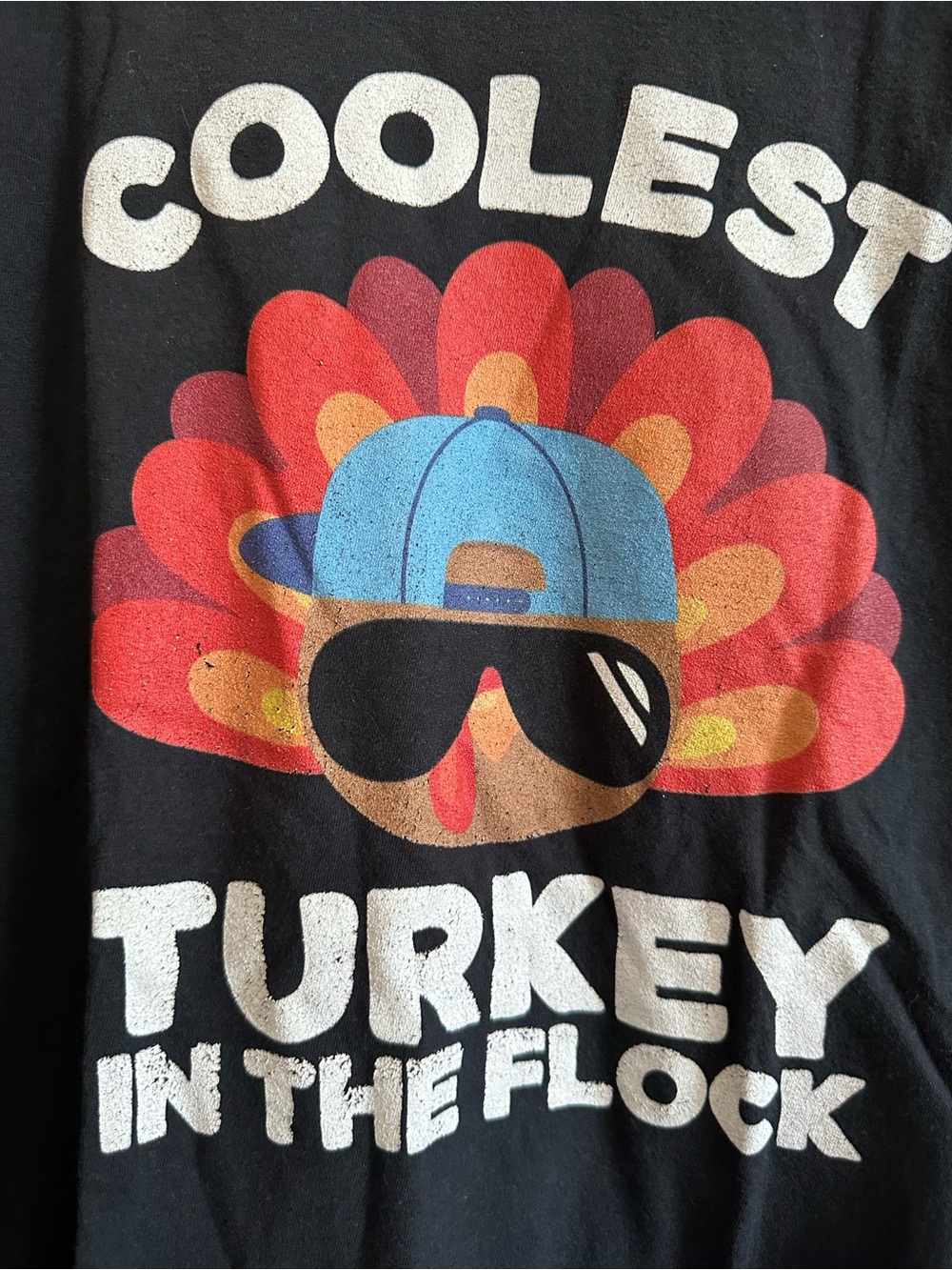 Coolest Turkey in the Flock Kids Tee - Turkey Graphic